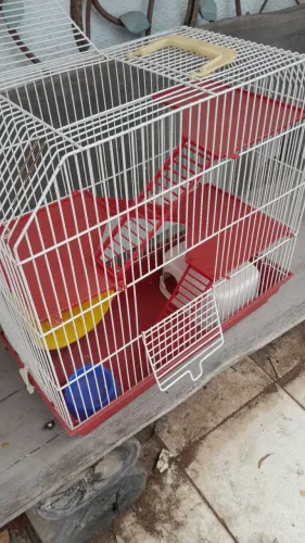 Gaiola para hamster