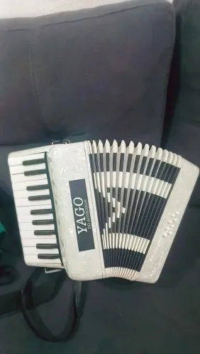 Vendo sanfona de 8 baixos Michael 