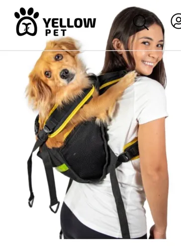 Yellow pet mochila para cães