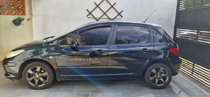 Peugeot 307 Feline/griff/premi. 2.0 Flex 5P Aut. 2009