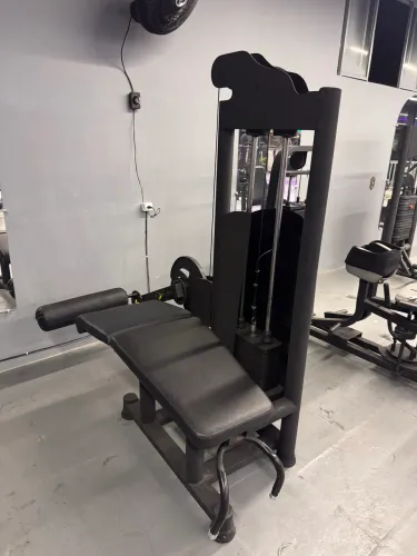 Mesa flexora 