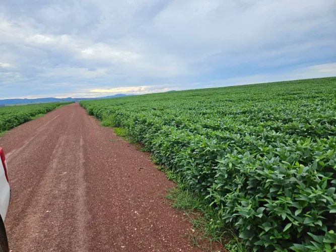 Fazenda à venda, Doverlândia, Doverlândia, GO