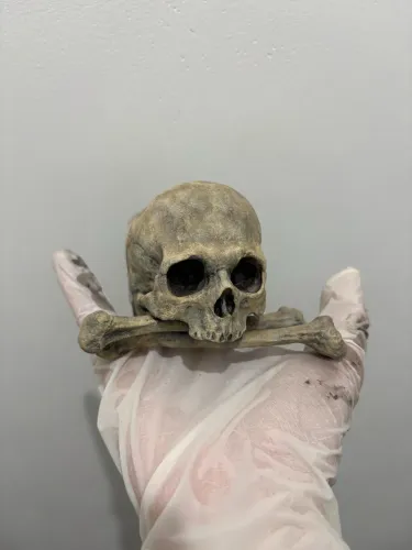 Caveira Decorativa em Resina - Pintura Realista Artesanal