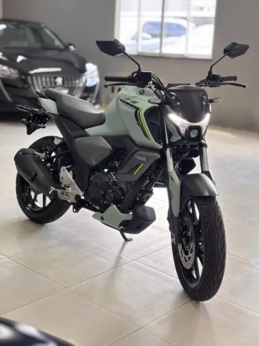 Yamaha Fz15 Abs 2027 