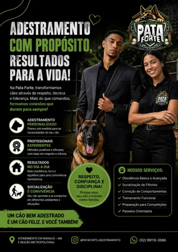 Adestramento de Cães 