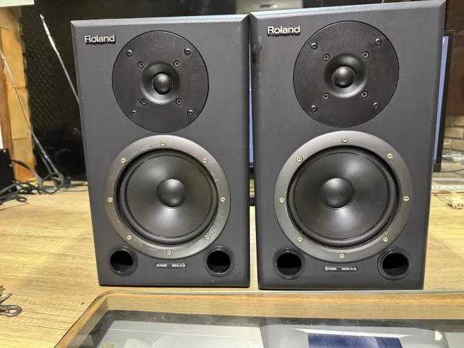 Caixa monitor Roland DS90
