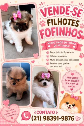 Cachorro 