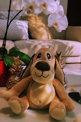 Cachorro de Pelúcia Grande Marrom com Orelhas Longas