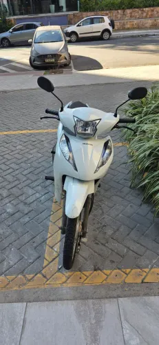 Biz única dona 