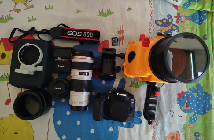 Kit Canon, lente e Caixa estanque