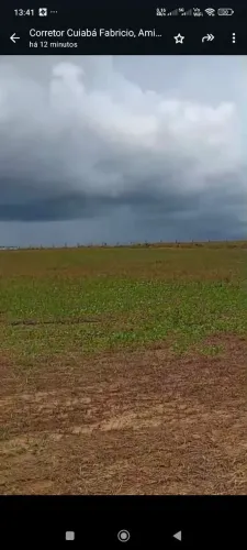 Fazenda de arrendamento 520 hec plantando em Juína MT. 