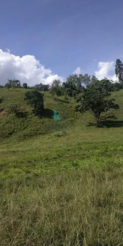 CHÁCARA SEM BENFEITORIAS E FÁCIL ACESSO EM CUNHA-SP