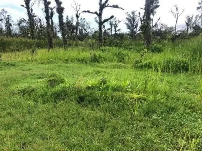 Lote/Terreno à Venda, Jussara - Mongaguá