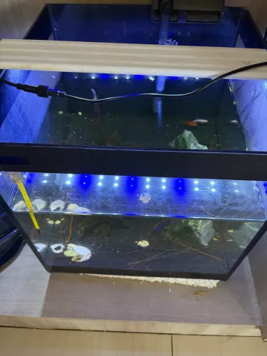 Vendo aquário de 42 litros com luminária