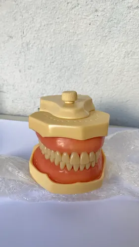 Manequim Odontológico MOM