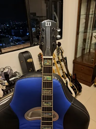 Guitarra Wylde Audio chinesa