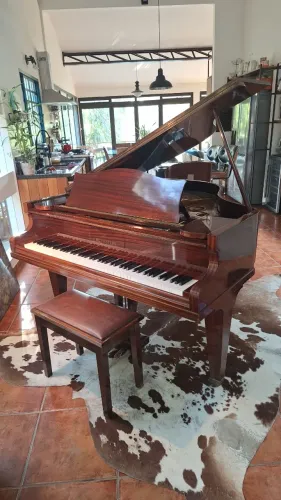 Piano Cauda Bechstein S