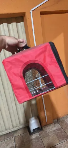 Mini gaiola de passarinho para passeio ou viagem