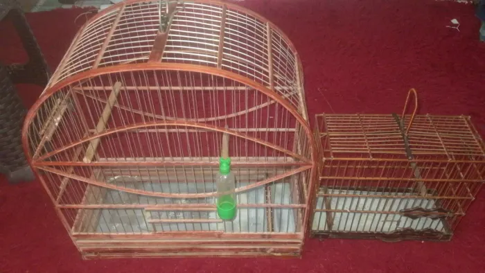 GAIOLAS para pássaros 