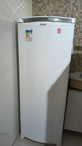 Geladeira Frost Free 297 L