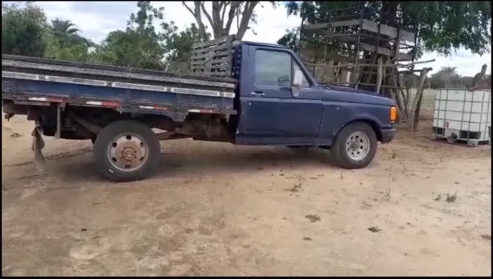 Ford F-1000 S. S. Diesel / S.s. Diesel Turbo 1994