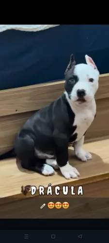 Pit monster