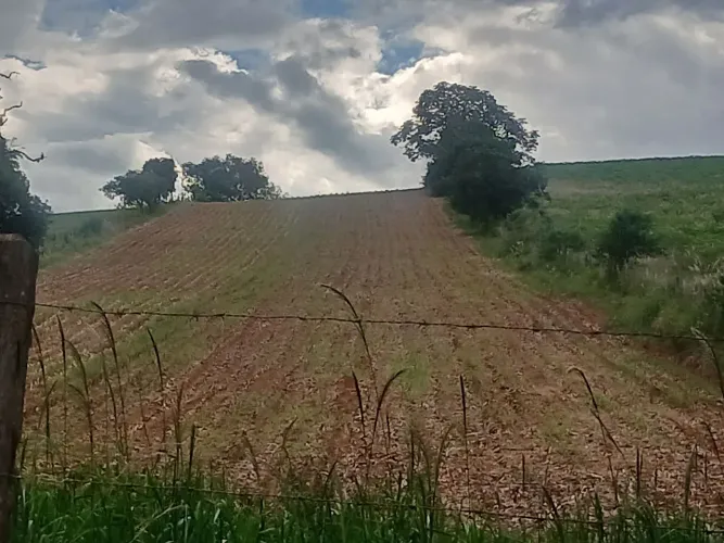 Sitio entre Santa Rita e Pouso Alegre com uma excelente localização