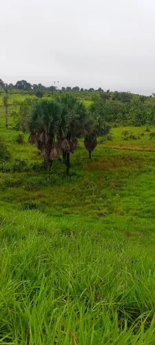 Oportunidade/ Terra a venda / Documentada 