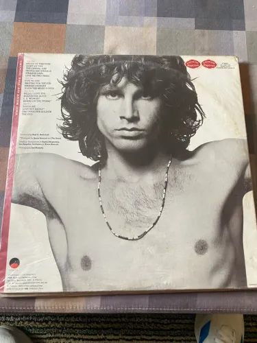 The best of the doors