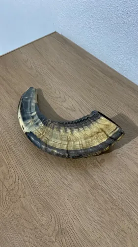 SHOFAR chifre de Carneiro