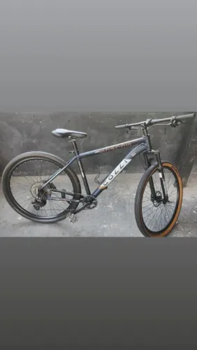 Bicicleta colli 29
