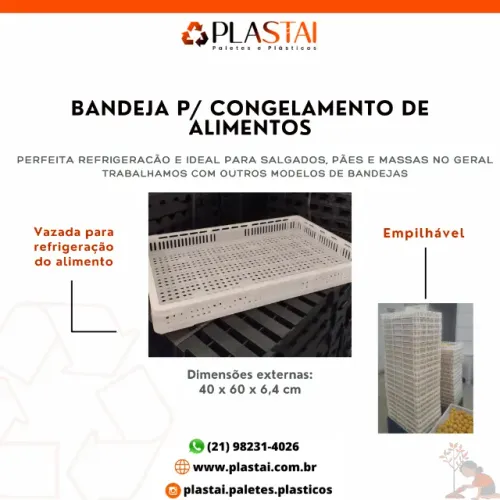 BANDEJA Bacia p/ SALGADOS E CONGELAMENTO DE ALIMENTOS 40X60 CM