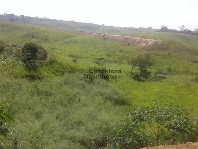 TE0327 - Terreno à venda, 8000 m² por R$ 1.038.800 - Jardim Paraíso - Jacareí/SP