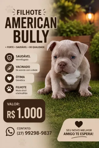 American buly 