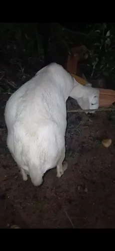 Pra vender rápido