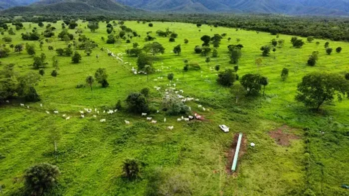 Fazenda com 981he c/ 650he abertos, 50km de Cuiabá-MT