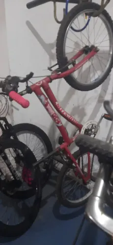 Bicicleta Femina Aro 20