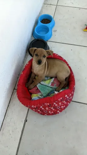 Doação