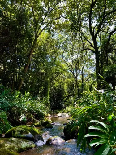 Terreno Rural 14.000m² (1.4 hectare) - OPORTUNIDADE ÚNICA