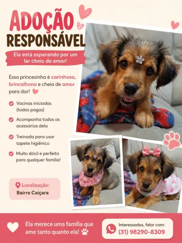 Adoção Melzinha 