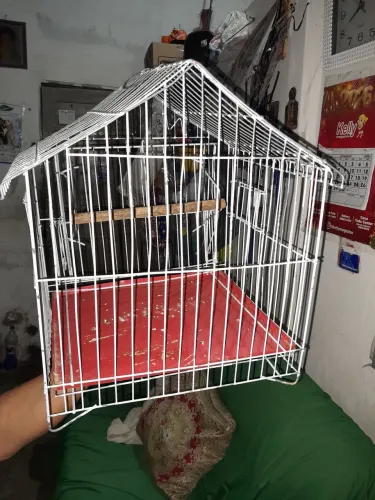 Gaiola animal