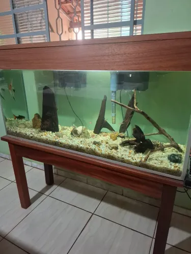 Aquário completo