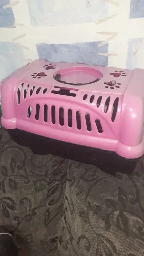 Caixa transporte pets
