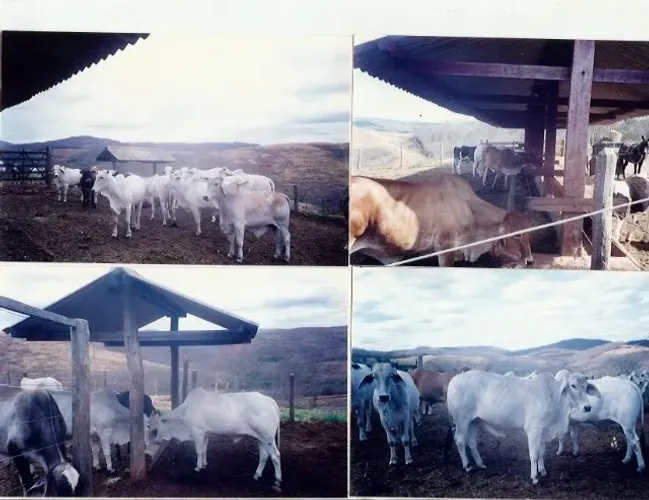 fazenda