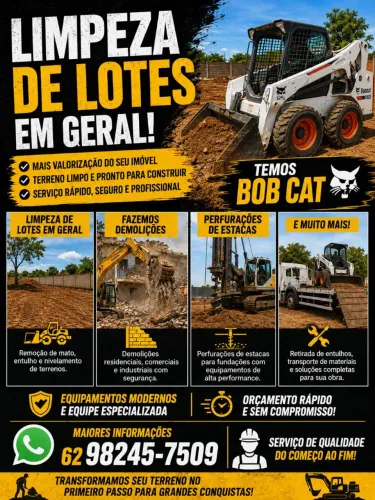 Demolição e limpeza de lotes 
