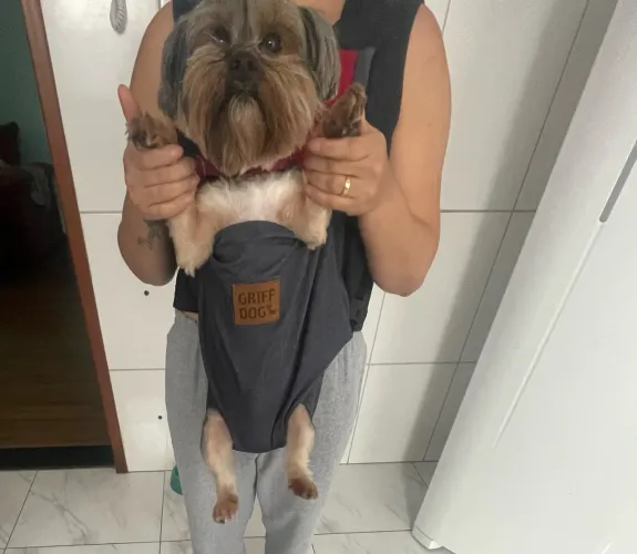 Canguru pra cachorro