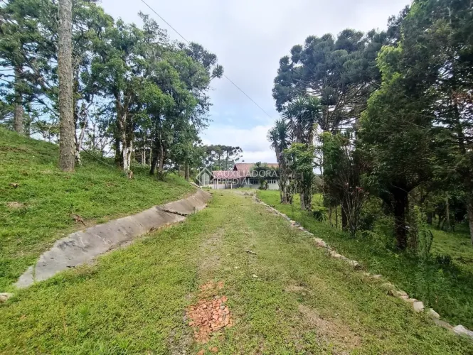 Chácara com 3 dormitórios à venda, 79358 m² por R$ 849.000,00 - Campo Alto - Tijucas do Su