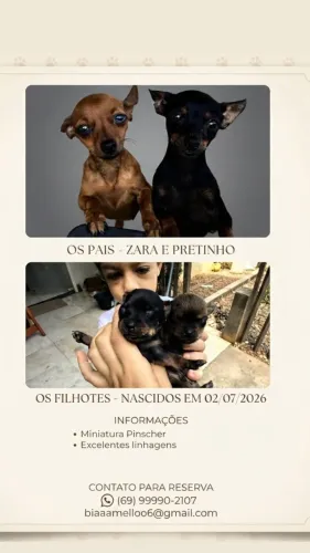 Cahorro