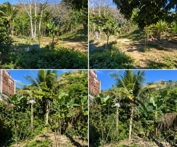 OPORTUNIDADE DE 6 LOTES EM ECOPORANGA