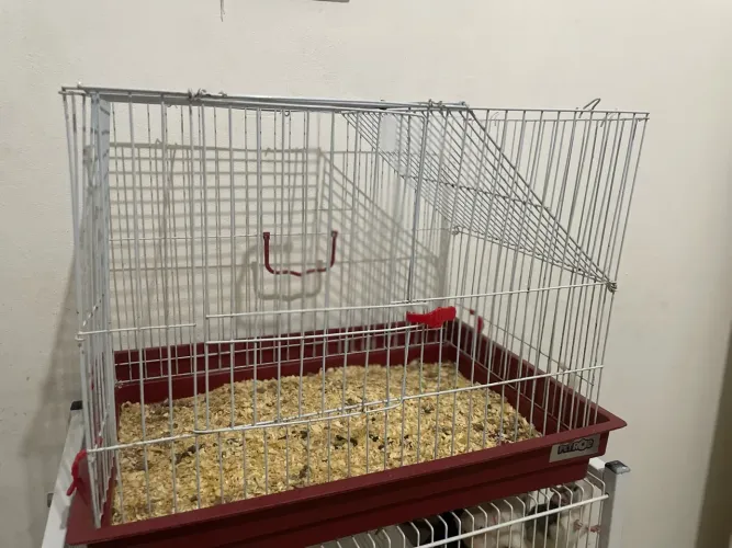 Gaiola grande pra porquinho da índia